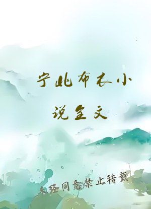 宁北布衣小说全文