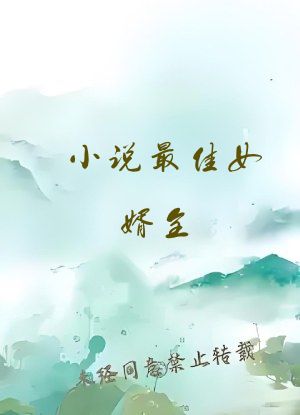 小说最佳女婿全