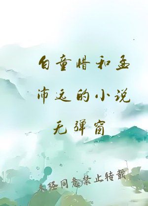 白童惜和孟沛远的小说无弹窗